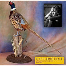Three Sided Tape Volume Two mp3 Artist Compilation by Lil Ugly Mane