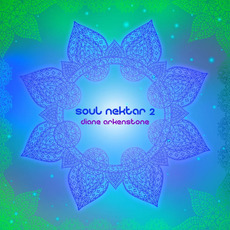 Soul Nektar 2 mp3 Album by Diane Arkenstone