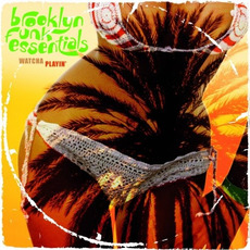 Watcha Playin' mp3 Album by Brooklyn Funk Essentials