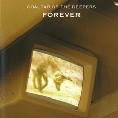 Forever mp3 Live by Coaltar Of The Deepers