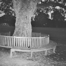 A New Place 2 Drown mp3 Album by Archy Marshall