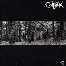 13 mp3 Album by Coilbox