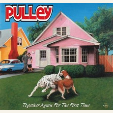 Together Again for the First Time mp3 Album by Pulley