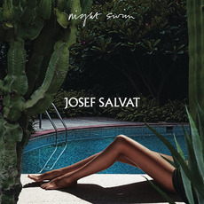 Night Swim mp3 Album by Josef Salvat