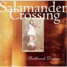 Bottleneck Dreams mp3 Album by Salamander Crossing