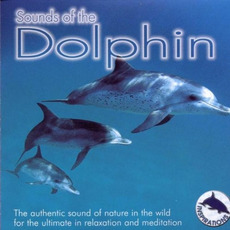 The Sound of Dolphins mp3 Album by Levantis