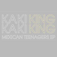 Mexican Teenagers EP mp3 Album by Kaki King