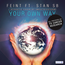 Your Own Way mp3 Single by Feint
