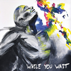 While You Wait mp3 Album by Layover