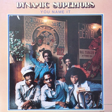 You Name It mp3 Album by The Dynamic Superiors