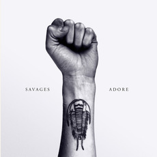 Adore Life mp3 Album by Savages
