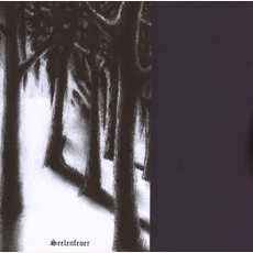 Seelenfeuer (Remastered) mp3 Album by Lunar Aurora