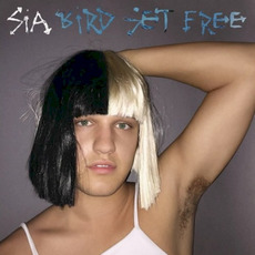 Bird Set Free mp3 Single by Sia