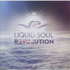Revolution mp3 Album by Liquid Soul