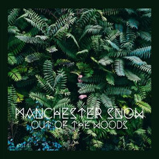 Out of the Woods mp3 Album by Manchester Snow