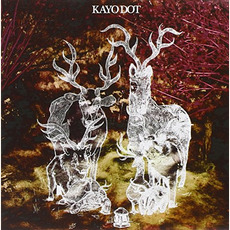 Blue Lambency Downward mp3 Album by Kayo Dot