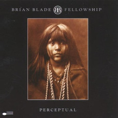 Perceptual mp3 Album by Brian Blade Fellowship