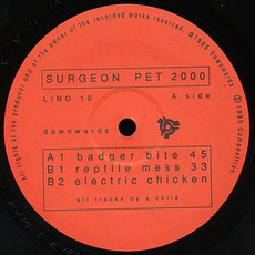 Pet 2000 mp3 Album by Surgeon