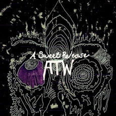 A Sweet Release mp3 Album by All Them Witches