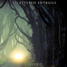 2012 EP mp3 Album by Splattered Entrails