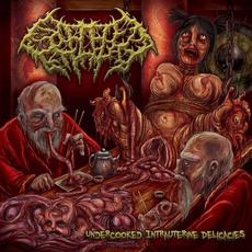 Undercooked Intrauterine Delicacies mp3 Artist Compilation by Splattered Entrails