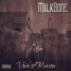 Voice of Reason mp3 Album by Miilkbone