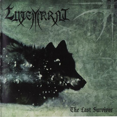 The Last Survivor mp3 Album by Lutemkrat