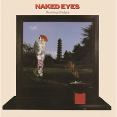 Burning Bridges (Special Edition) mp3 Album by Naked Eyes