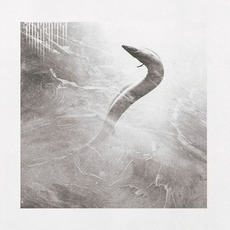 Eel mp3 Album by Absenta