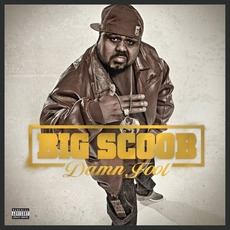 Damn Fool mp3 Album by Big Scoob