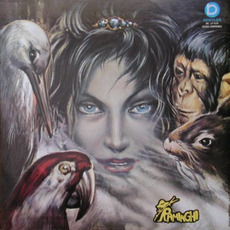 Il Lungo Cammino Dei Raminghi / Live 1975 (Re-Issue) mp3 Album by I Raminghi