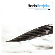 Mein wahres Ich mp3 Album by Boris Brejcha