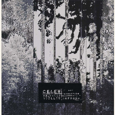Salvaged Violets mp3 Album by Celer