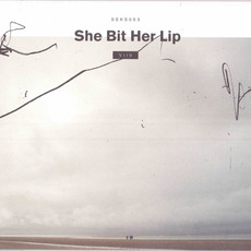 Viiv mp3 Album by She Bit Her Lip