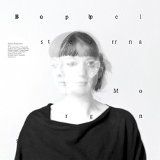Doppelstern mp3 Album by Barbara Morgenstern