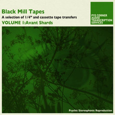 Black Mill Tapes, Volume 1: Avant Shards mp3 Album by Pye Corner Audio