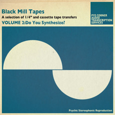 Black Mill Tapes, Volume 2: Do You Synthesize? mp3 Album by Pye Corner Audio