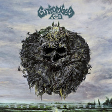 Back to the Front (Limited Edititon) mp3 Album by Entombed A.D.