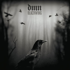 Blackwing mp3 Album by Dark Matter Noise