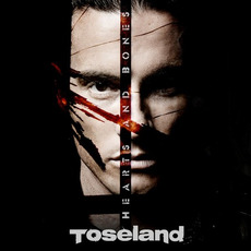 Hearts and Bones mp3 Album by Toseland