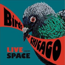 Live From Space mp3 Live by Birds of Chicago