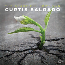 The Beautiful Lowdown mp3 Album by Curtis Salgado