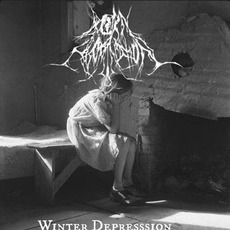 Winter Depression mp3 Album by Born an Abomination