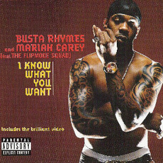 I Know What You Want mp3 Single by Busta Rhymes