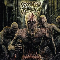 Butcher Basement mp3 Album by Extermination Dismemberment