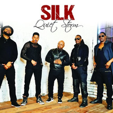 Quiet Storm mp3 Album by Silk