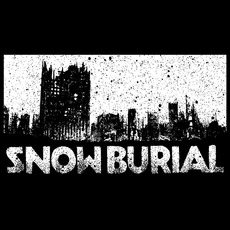 Victory in Ruin mp3 Album by Snow Burial