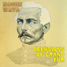 Delusions of Grand Fur mp3 Album by Rogue Wave