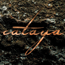 sukzession mp3 Album by cataya