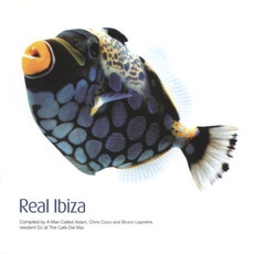 Real Ibiza mp3 Compilation by Various Artists